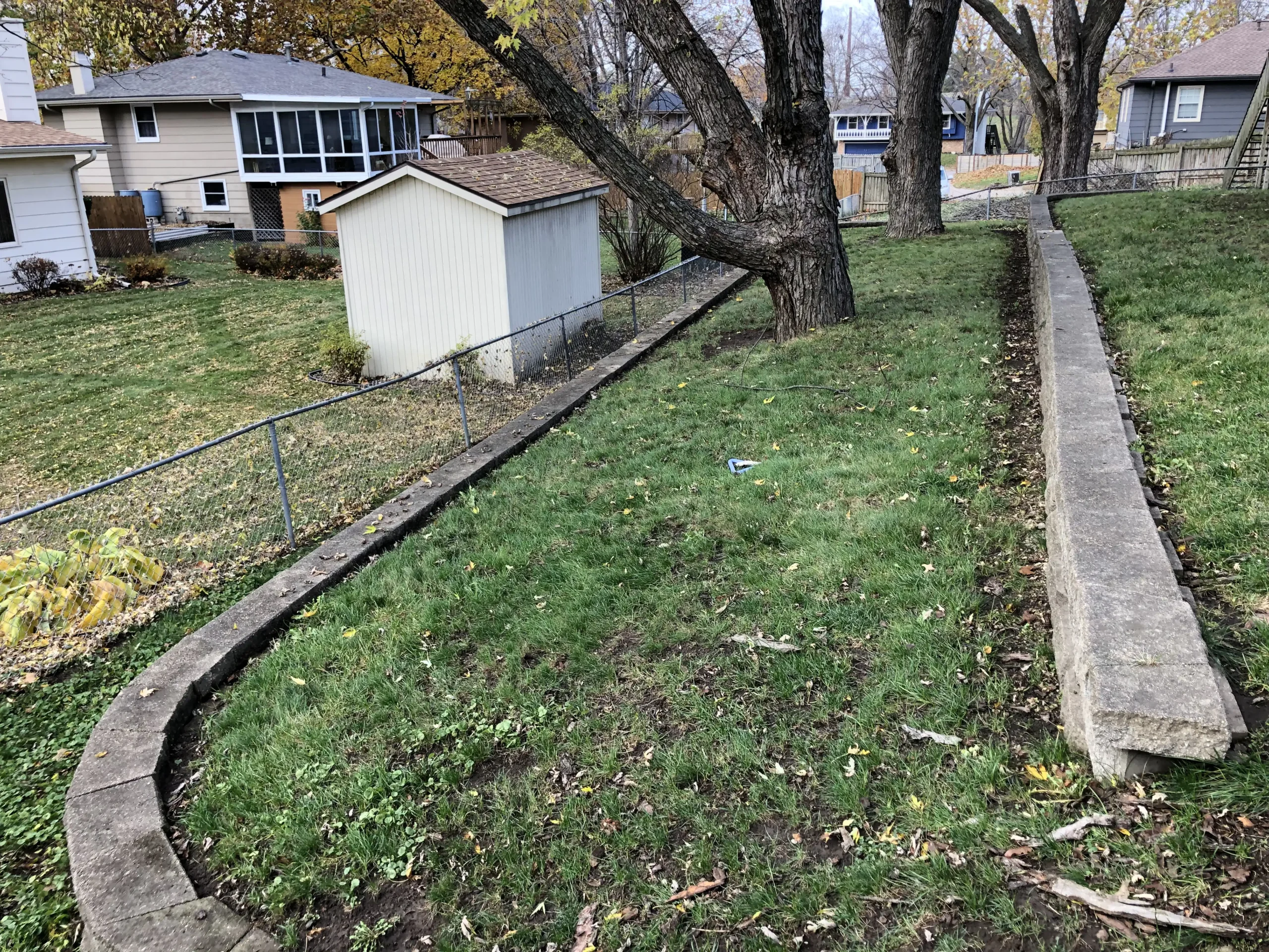 After Picture Of Leaf Clean Up