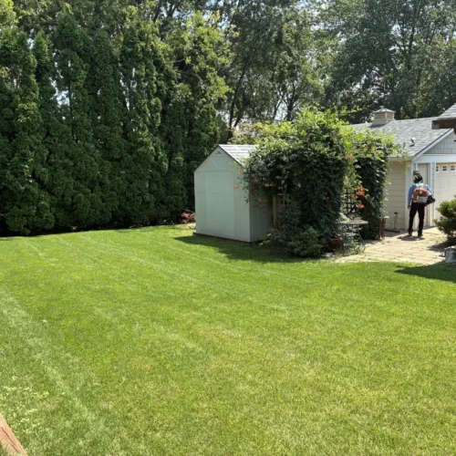 Weekly mowing (1) (1)