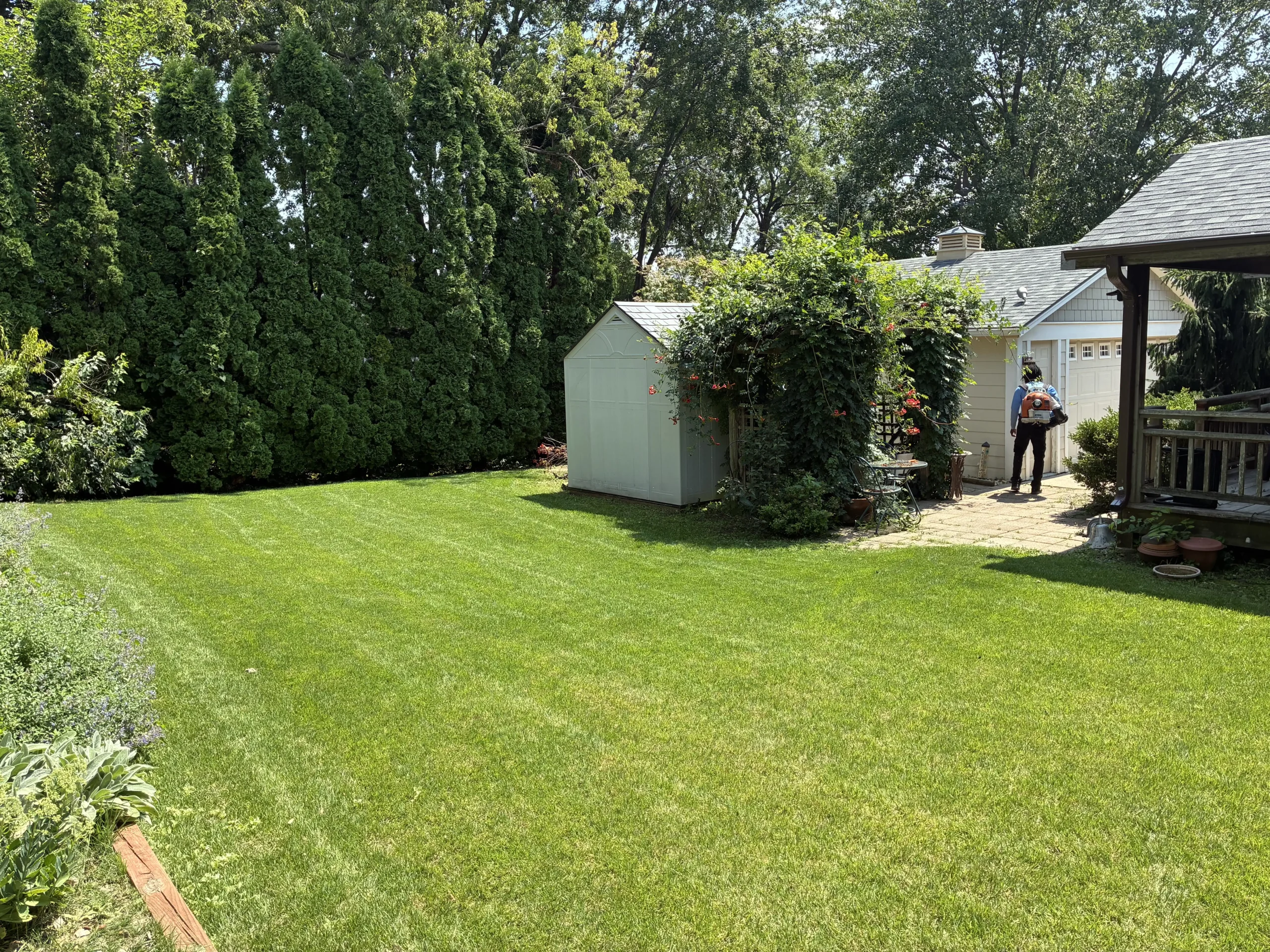 Weekly mowing (1) (1)