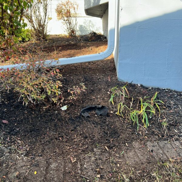 After_Picture_Of_Flower_Bed_Clean_Up_(3)