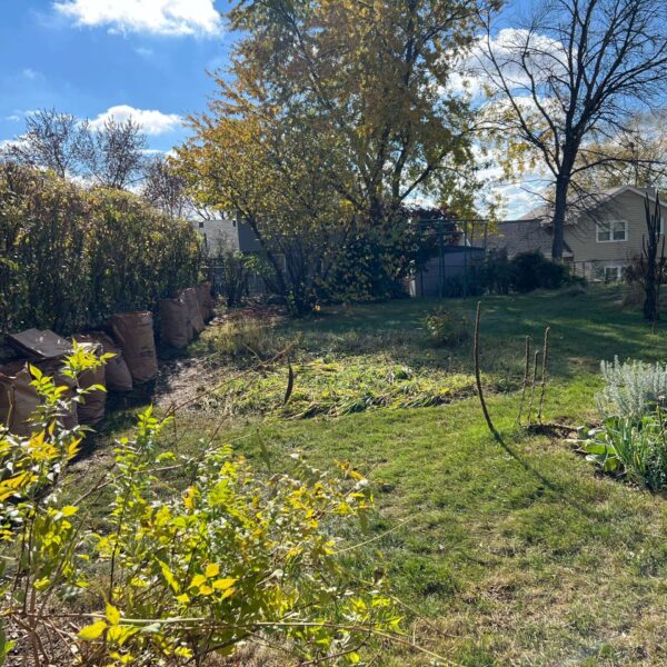 After_Picture_Of_Property_Clean_Up_