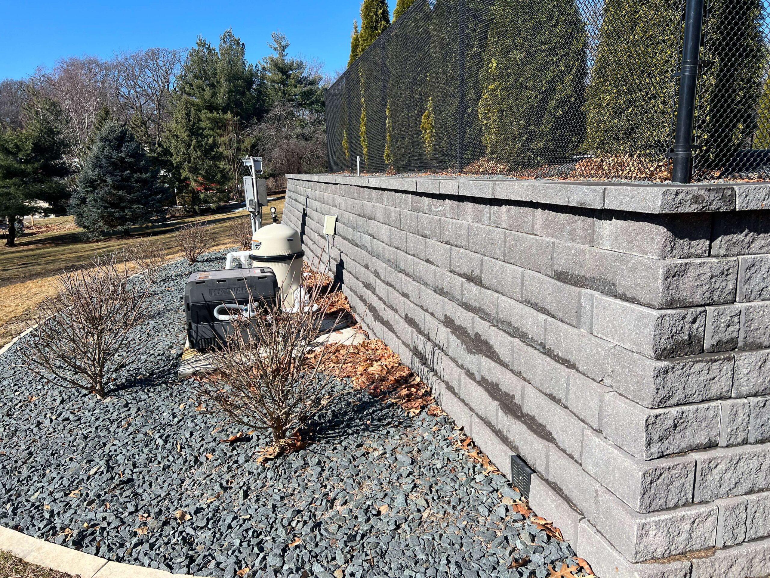 Before_picture_of_leaf_cleanup_(4)