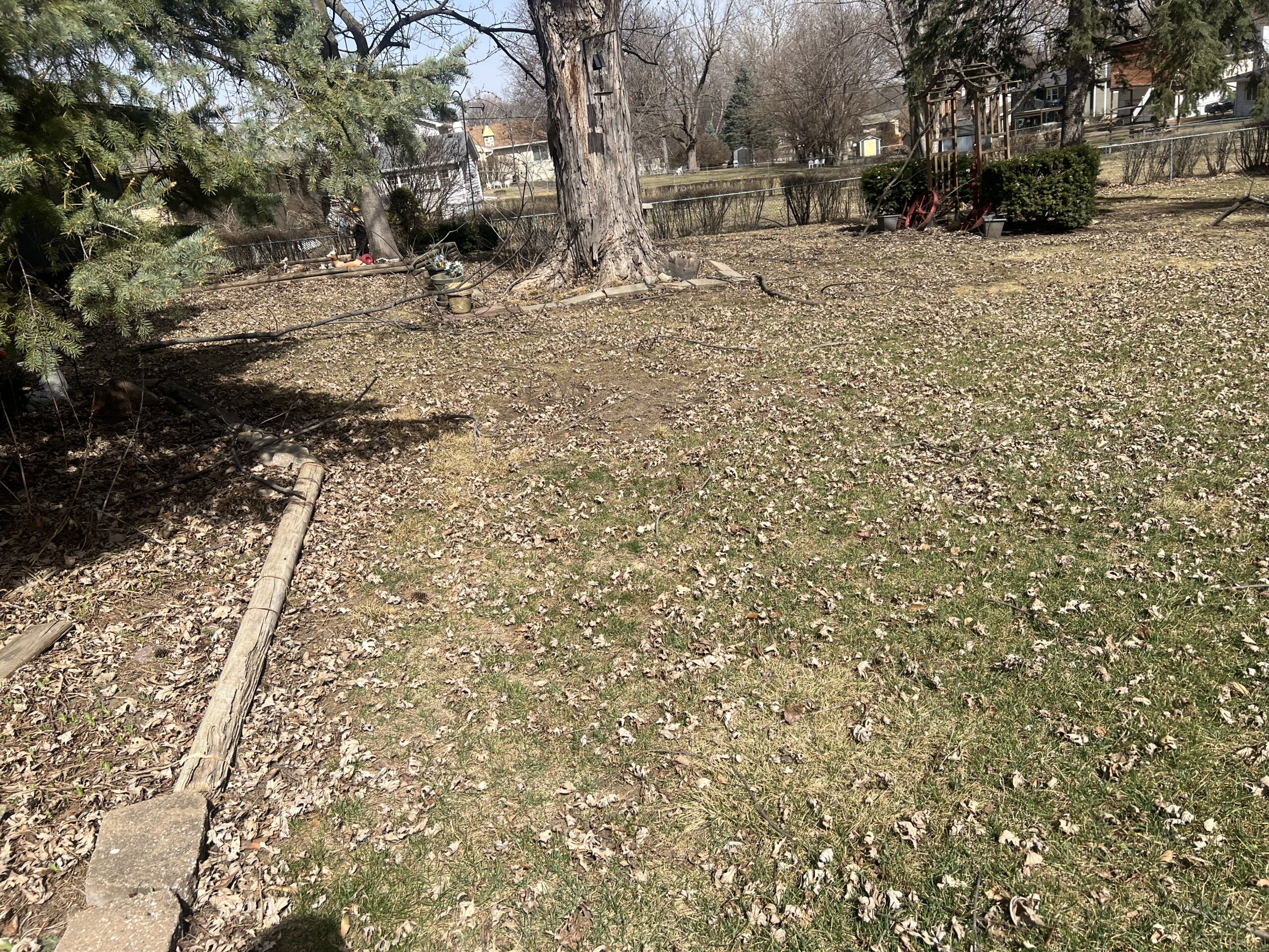 Before_property_cleanup_(6)