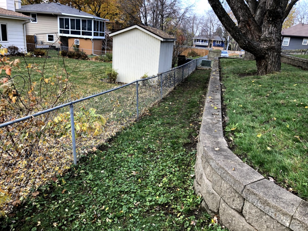 After Picture Of Leaf Clean Up (1)