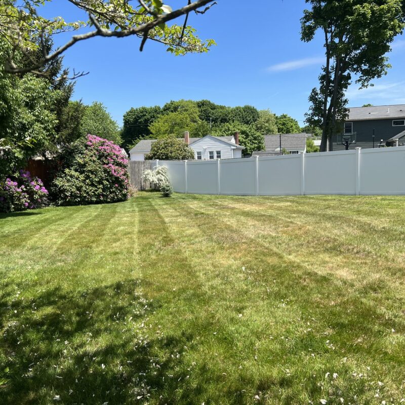 After Picture Of Mowing