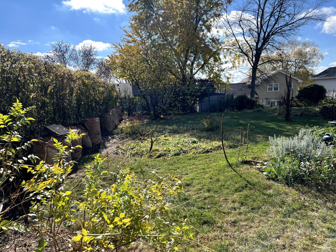 After Picture Of Property Clean Up (2)