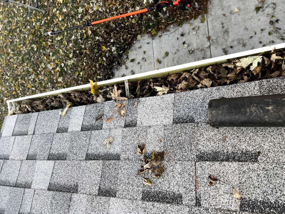 Before Gutter Cleaning