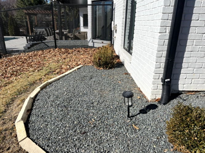 Before picture of leaf cleanup