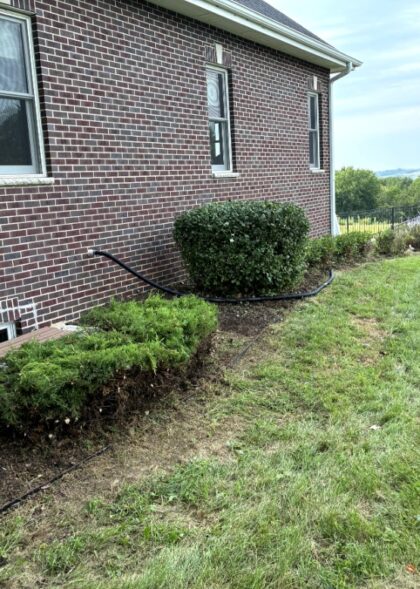 Bush Trimming (4) Bush Trimming (4)