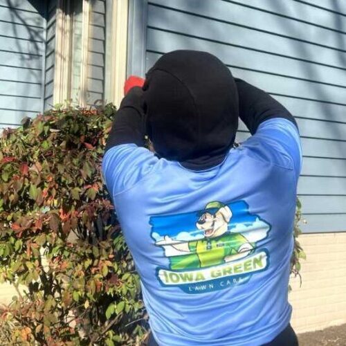 During Picture Of Bush Trimming