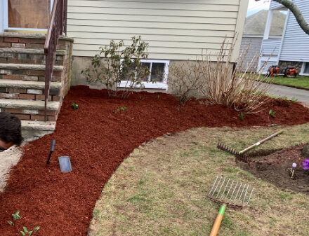 Mulch install and flower planting (1)