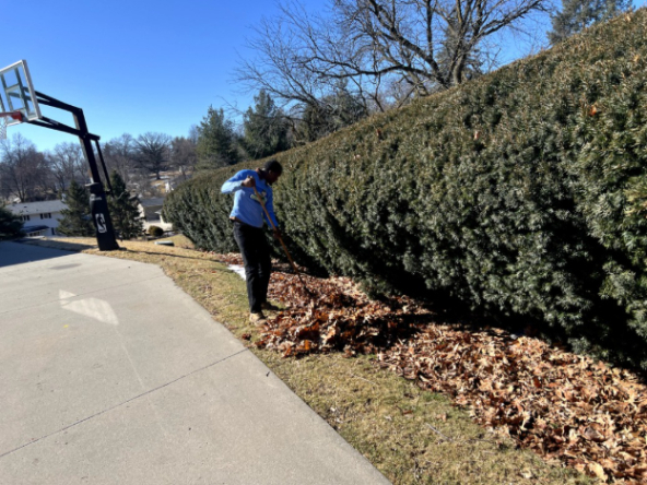 Picture of during a leaf cleanup