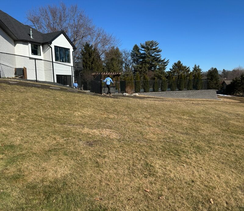 after picture of leaf cleanup