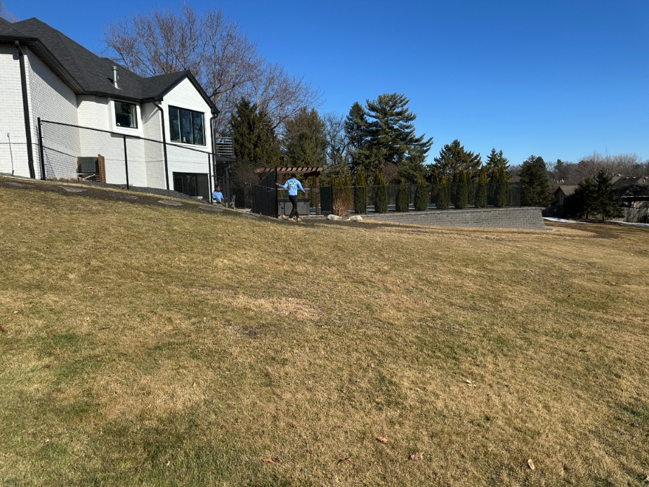 after picture of leaf cleanup