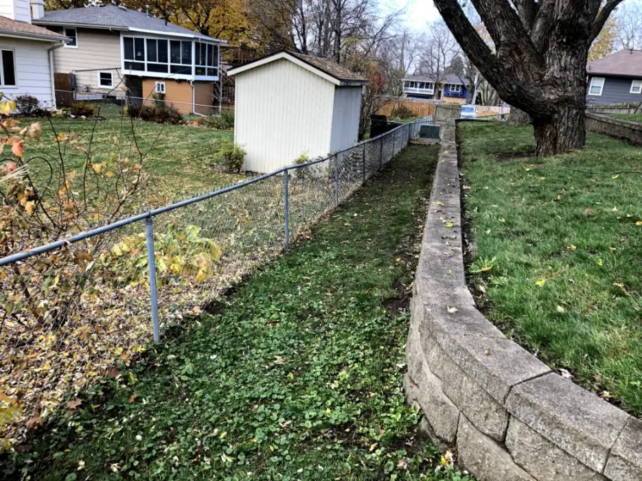 After-Picture-Of-Leaf-Clean-Up-1-1